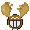 moose.gif moose.gif
