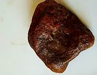 IMG_20180409_133301.webp