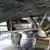01313_btpFhu6CPOh_50x50c.webp