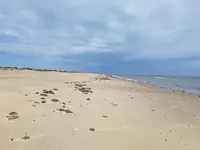20180315_122301.webp 20180315_122301.webp