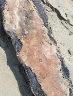 20180315_120515.webp