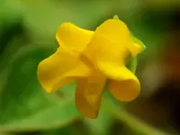 DSCN1646.webp