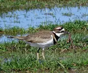K1600_DSCN1768_InPixio.webp
