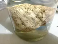 20180330_155735.webp