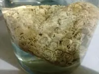 20180330_155744.webp
