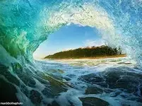 tapatalk_1522594772074.webp