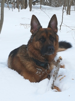 20180309_172039.webp