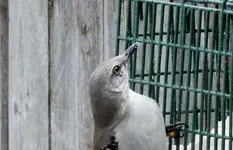 K1600_010.webp