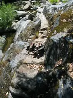 190_9081_r1.webp
