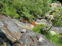 190_9085.webp