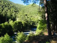 162_6257.webp