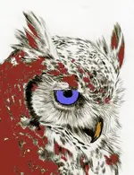 owl-2.webp owl-2.webp