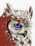 owl-2.jpg