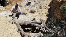 31206560_10209146048406840_2056440314238861312_n.webp