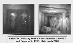 mineshaft.webp