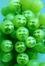 34EEE8EA-E885-4F9E-A968-EF43CC66134B.webp