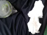 20180309_154601.webp