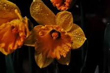 0122.webp