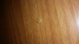 20180309_170128.webp