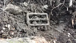 Triple Tine Buckle Field.webp