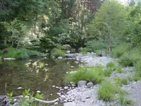 DSC00035.webp