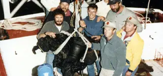 Whydah 10_30_1985.webp