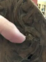 29543109_10155541704858261_4639384198645004596_n.webp