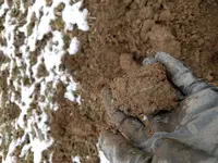 20180410_100722.webp