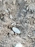 20180418_185558.webp