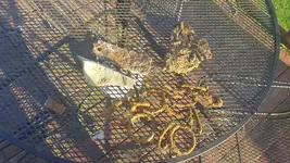 20180404_190539.webp