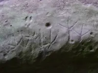 closeup of turkey tracks.webp