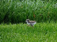 DSCN2150.webp
