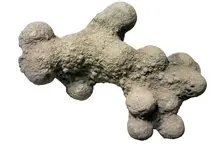 Rock.webp