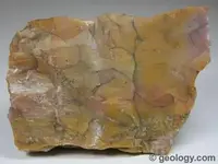 quartz-silicified-wood-509.webp