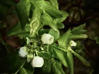 DSCN1551.webp