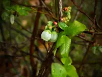 DSCN1549.webp