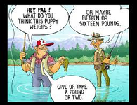 ImageUploadedByTreasureNet.com1524139147.068224.webp