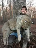 Bobcat.webp