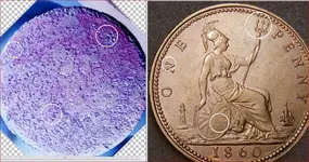 british penny 1860.webp