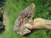 20180427_082047.webp