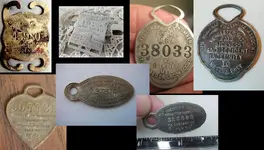 Insurance Tags'.webp