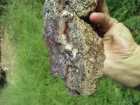 20180427_082040.webp