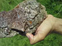 20180427_082254.webp