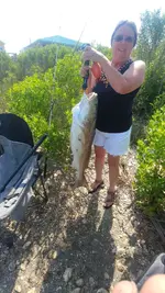 redfish.webp