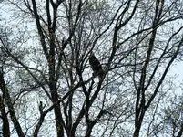 K1600_043.webp