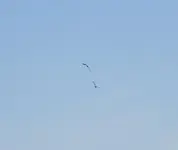 K1600_055.webp