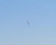 K1600_053.webp