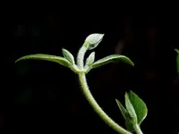 DSCN1560.webp