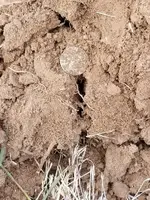 20180319_152934.webp