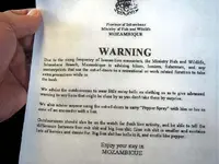 LionWarning.webp LionWarning.webp